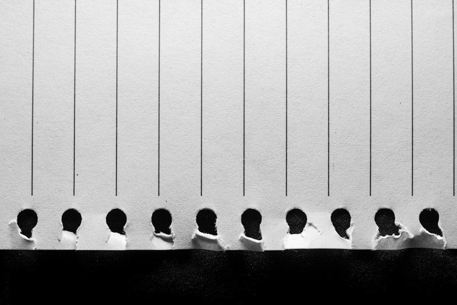 diversity of perspectives