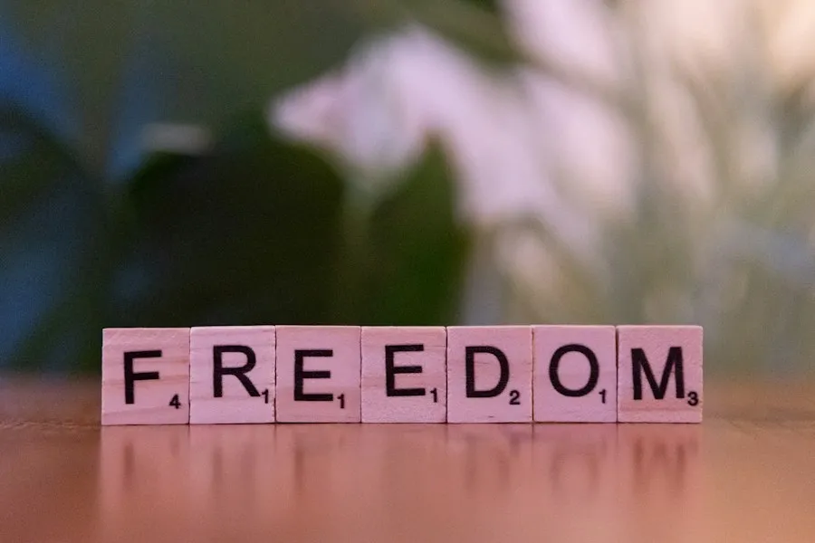 freedom of expression mistakes